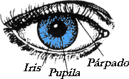 � Que sabe de sus ojos ?